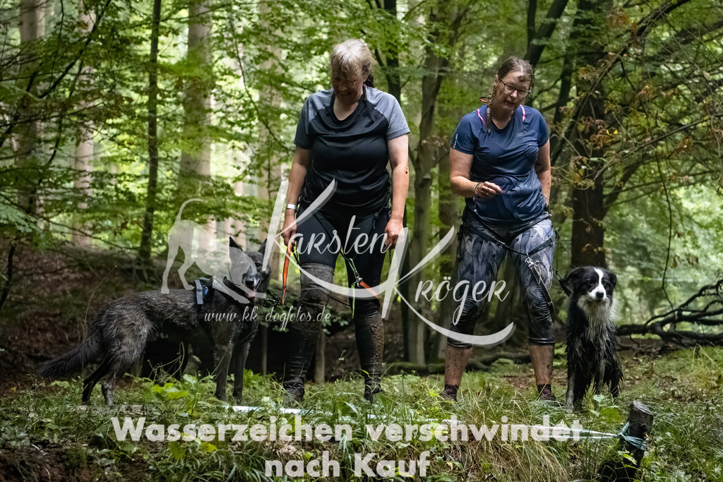 1247_ZZ91390-Bearbeitet | kk-dogfotos