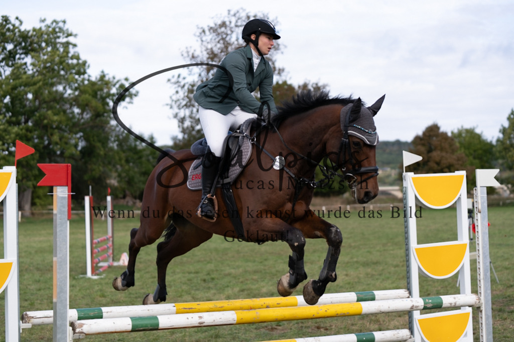 A7V06499 | Pferdefotograf