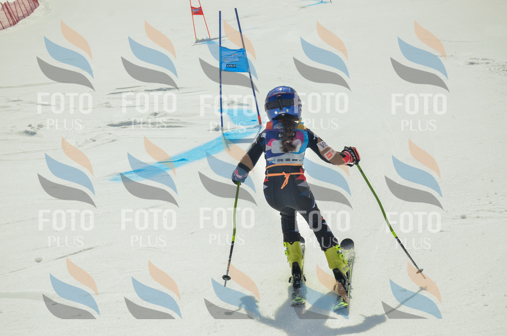 _ELE4466 | holidayphoto