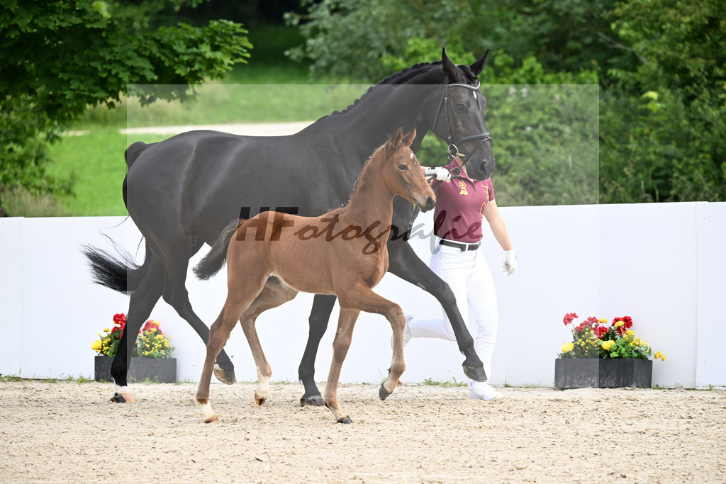 Veneno x Feriado_HF_Ederle_13250215 | hf-fotografie - Realizzato con Pictrs.com
