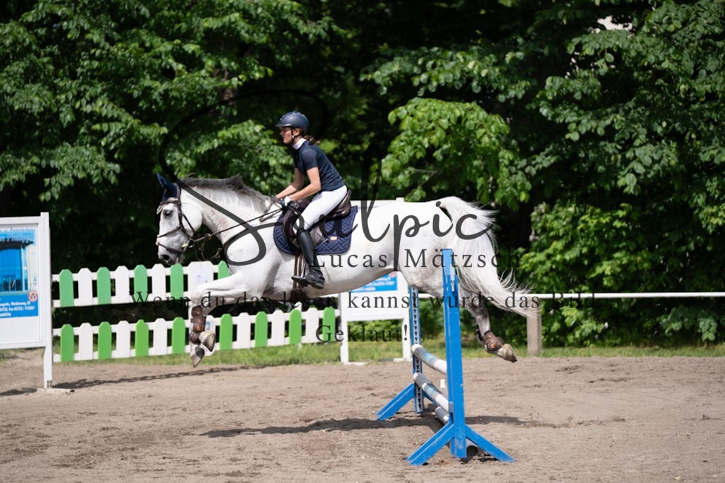 A7V04540 | Pferdefotograf