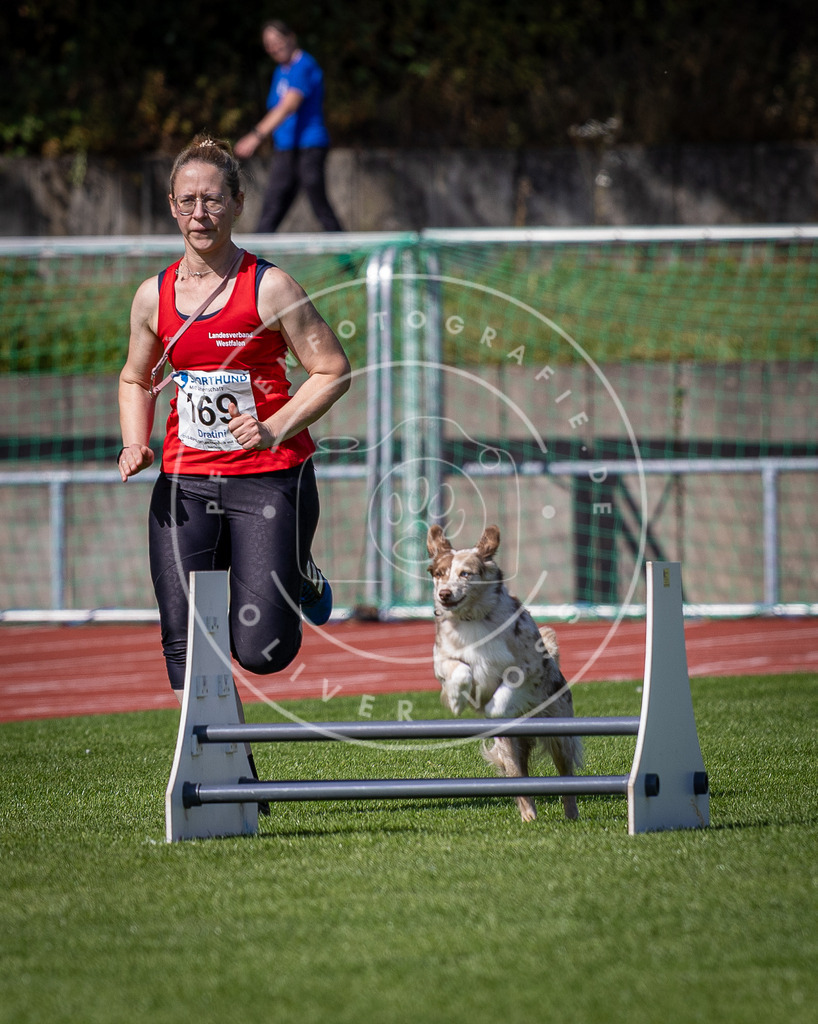 Pfotenfotografie_DV3A9859 | Hundefotografie, Tierfotograf, Pfotenfotografie, Fotoshooting Hund, Hunde Portrait, Hundesport, Hundeportraits, Heideshooting, Hunde, Sportfotograf, Hundefotograf, Turnierhundsport, THS,  - Realisiert mit Pictrs.com