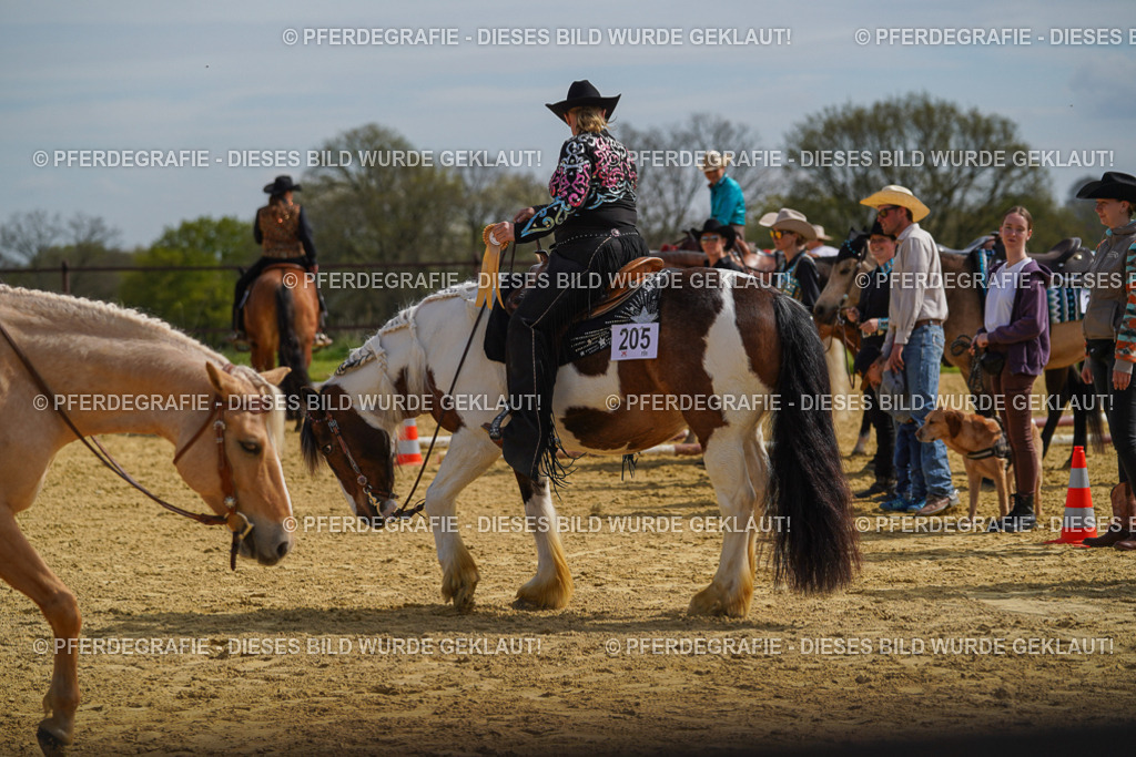DSC04215 | Pferdegrafie