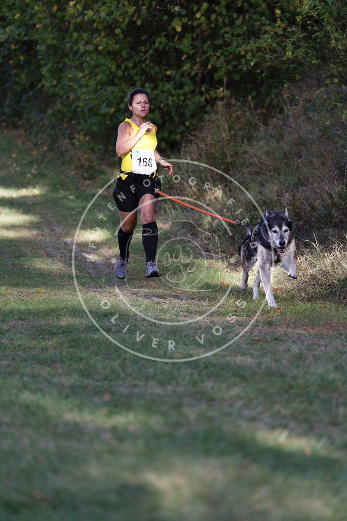 0L8A5307 | Hundefotografie, Tierfotograf, Pfotenfotografie, Fotoshooting Hund, Hunde Portrait, Hundesport, Hundeportraits, Heideshooting, Hunde, Sportfotograf, Hundefotograf, Turnierhundsport, THS,  - Realisiert mit Pictrs.com