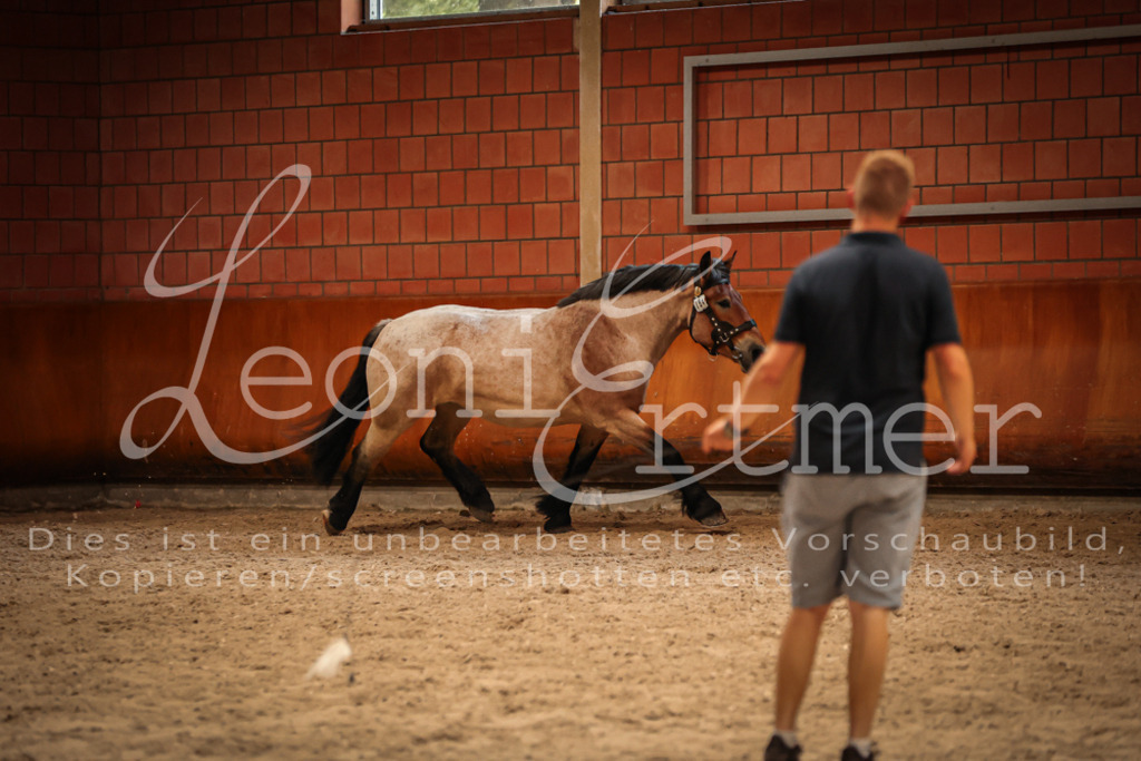 SaFL00313 | Leoni Ertmer Photography - Realisiert mit Pictrs.com