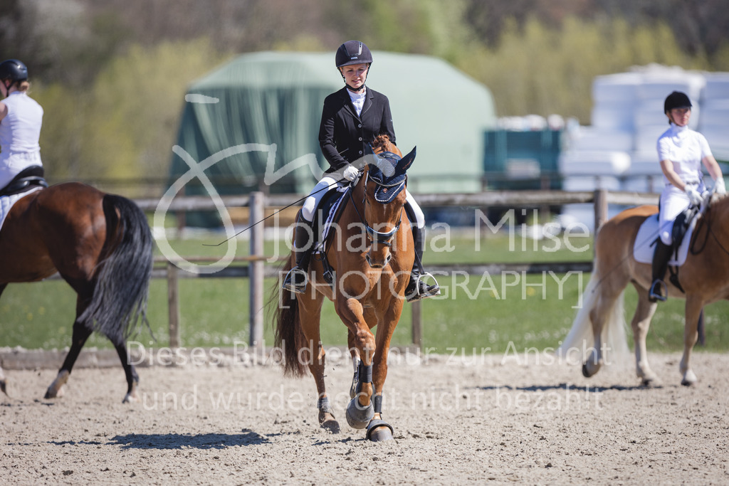 220418_L-Dressur-243 | Frühlingsfest der Pferde
Herford
18.April 2022
Dressurprfg. Kl.L* - Tr. L2ausw. geschlossen