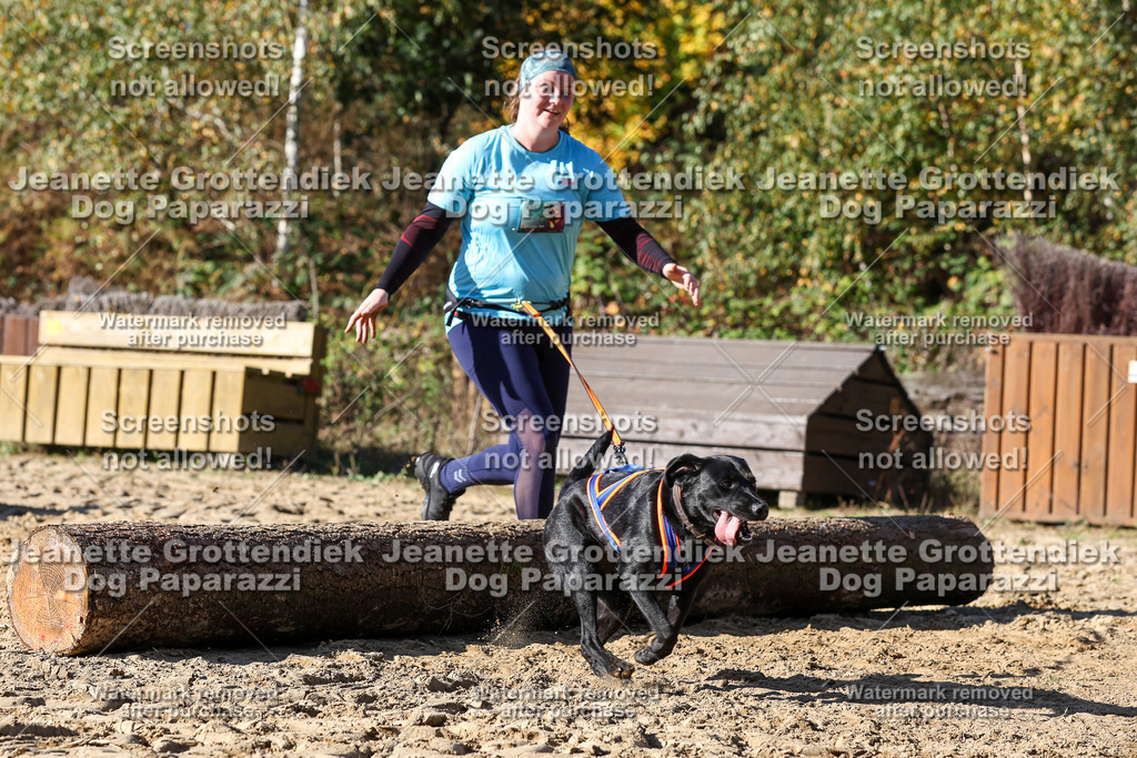 Dog Paparazzi - Strongdog 10-25-2925 | Dog Paparazzi Jeanette Grottendiek Fotografie & Videografie - Realisiert mit Pictrs.com