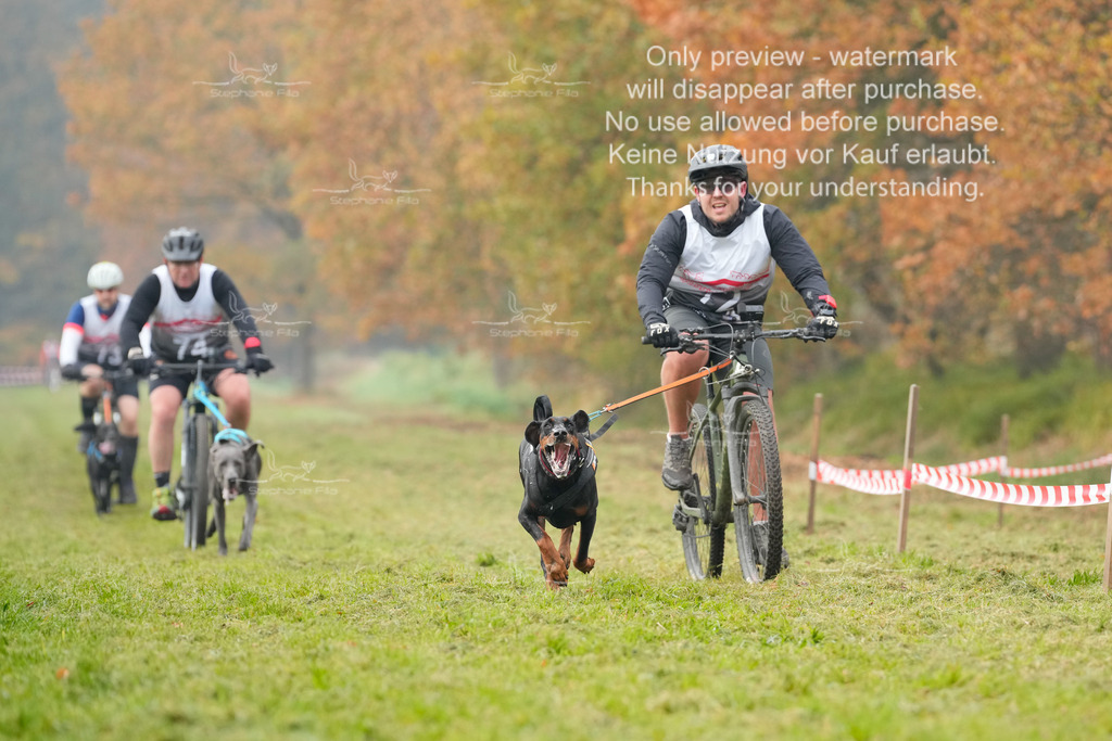 Visbeck_Sa_Bike-202 | stephaniefillaphotographie - Realisiert mit Pictrs.com