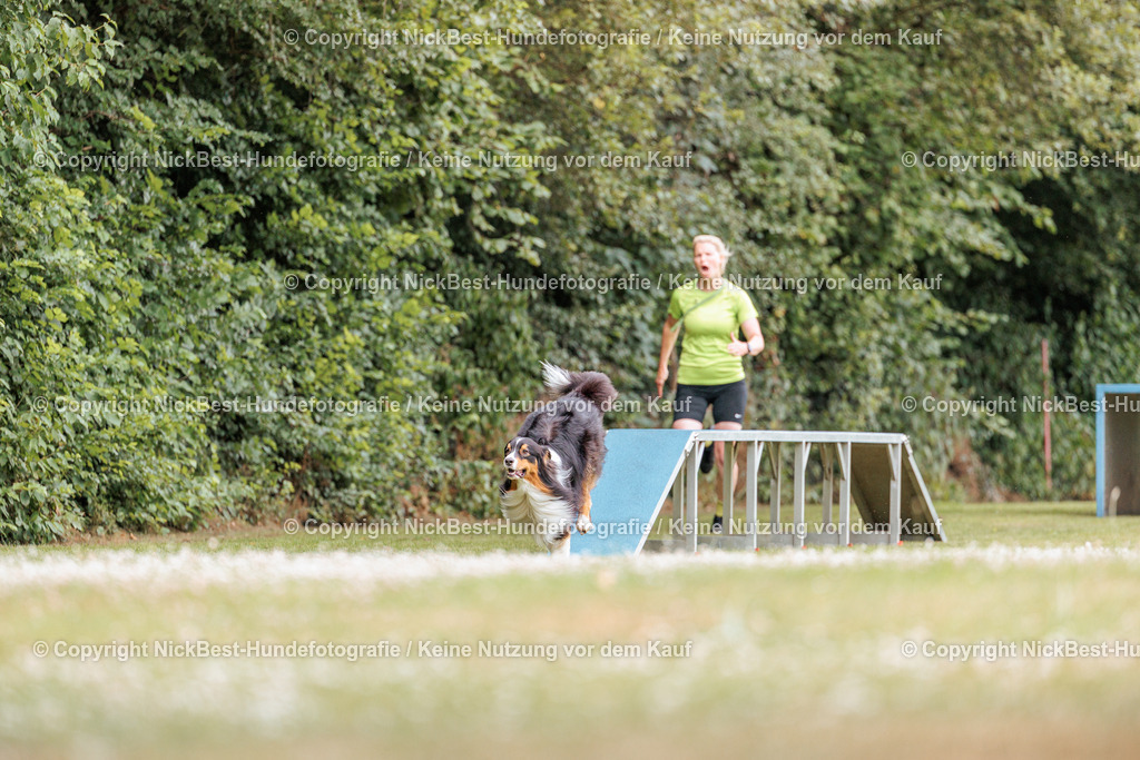 THS-Quakenbrück-2026-Nickbest-Hundefotografie-2249 | Dein Hund! Dein Moment! Deine Erinnerungen! Hundefotografie in Bremen Blumenthal. Ich fange die besonderen Momente deines Vierbeiners ein – ob Indoor mit Blitzanlage oder in der freien Natur. Sicher dir dein Moment und dein Termin für eure Erinnerungen.
