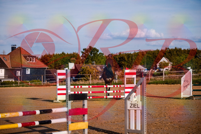 2026_10_03_Siefer-Hof_171040_Z81_07617900 | Professionelle Reitsport-, Turnier- und Eventfotografie von Robert Broda. Galerien mit ausgewählten und bearbeiteten Bildern direkt online ansehen und bestellen.