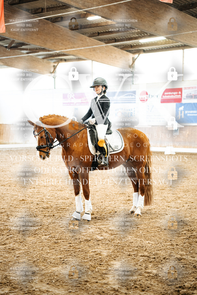 CK703030 | Turnierfotografie Pferdefotografie Trier Rheinland-Pfalz Pferdesport Reitsport Tierfotografie Sportfotografie Pferdevideo Pferdevideografie Equestrianvideography equestrianphotography  - Realisiert mit Pictrs.com