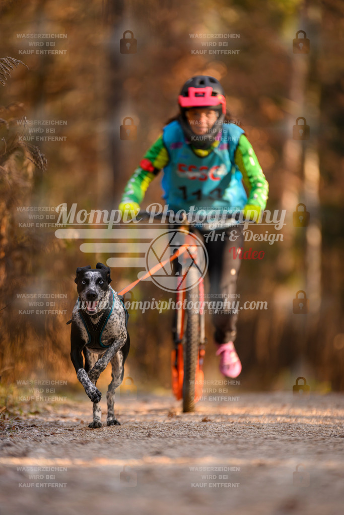 MompixPhotography_DM_AKDM_SO_2025_Scooter-206 | PayLife