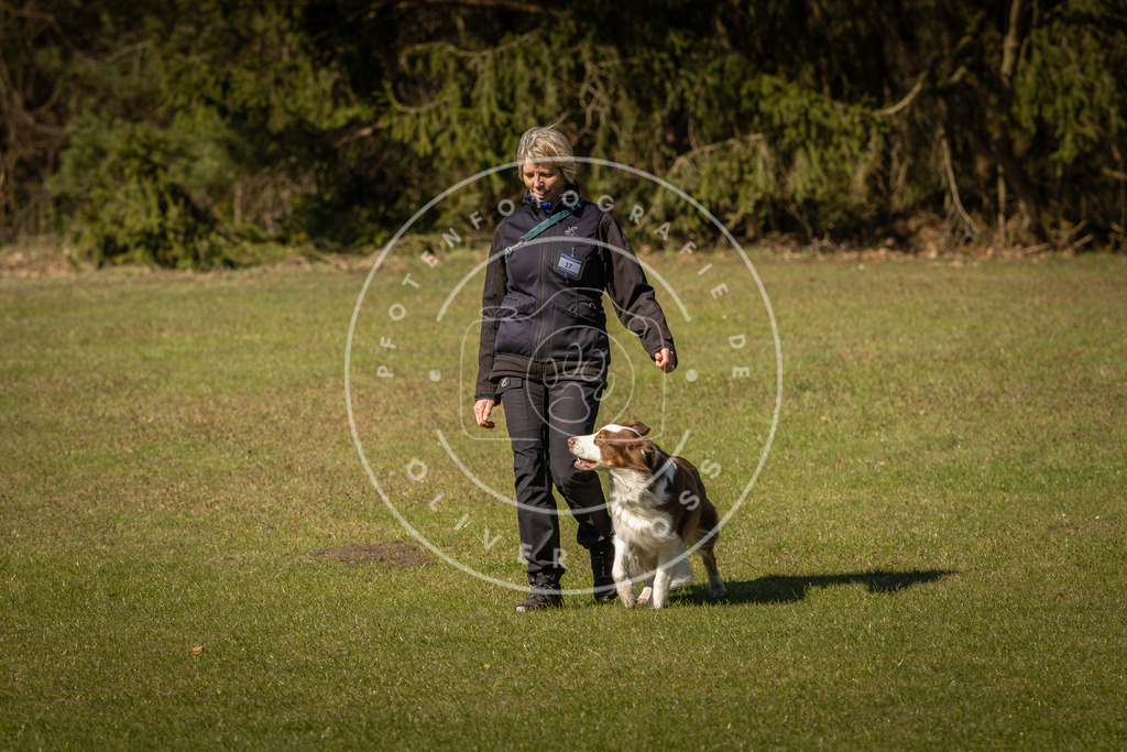 Pfotenfotografie_DV3A0422 | Hundefotografie, Tierfotograf, Pfotenfotografie, Fotoshooting Hund, Hunde Portrait, Hundesport, Hundeportraits, Heideshooting, Hunde, Sportfotograf, Hundefotograf, Turnierhundsport, THS,  - Realisiert mit Pictrs.com