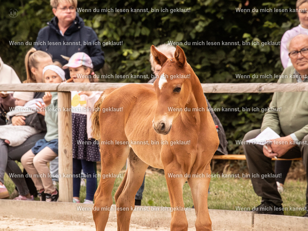 A10I0161-Verbessert-RR | photographylinaismer - Realisiert mit Pictrs.com