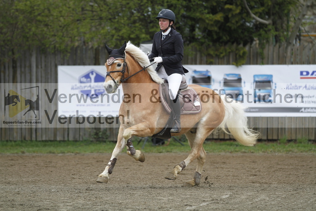 _MG_4412 | equestrian-live-com