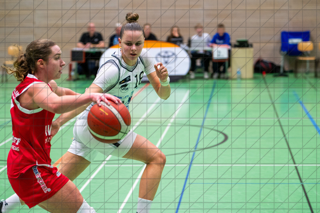 2. DBBL Nord 24/25 | 17.11.2024 | BBC OS vs. BG 89 AVIDES Hurricanes | 2. DBBL Nord 24/25 | 17.11.2024 | BBC OS vs. BG 89 AVIDES Hurricanes - - - - - CREDIT, www.bullenfotos.de, Martin König, Hörner Weg 40, D-49078 Osnabrück, +4917663732967, Nutzung und Weitergabe nur zu den vereinbarten Zwecken. Presseanfragen an Urheber. Alle Rechte beim Urheber. - - - - - - Realisiert mit Pictrs.com