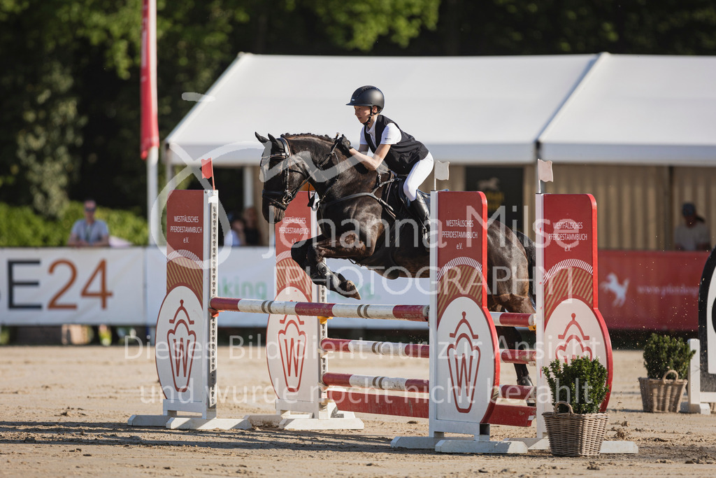 250501_MünsterHandorf_PonyTrophy-240 | Deine schönsten Turniermomente als professionelle Fotos! Entdecke hochwertige Pferdesport-Fotografie im Online-Shop. Jetzt Fotos finden & bestellen!