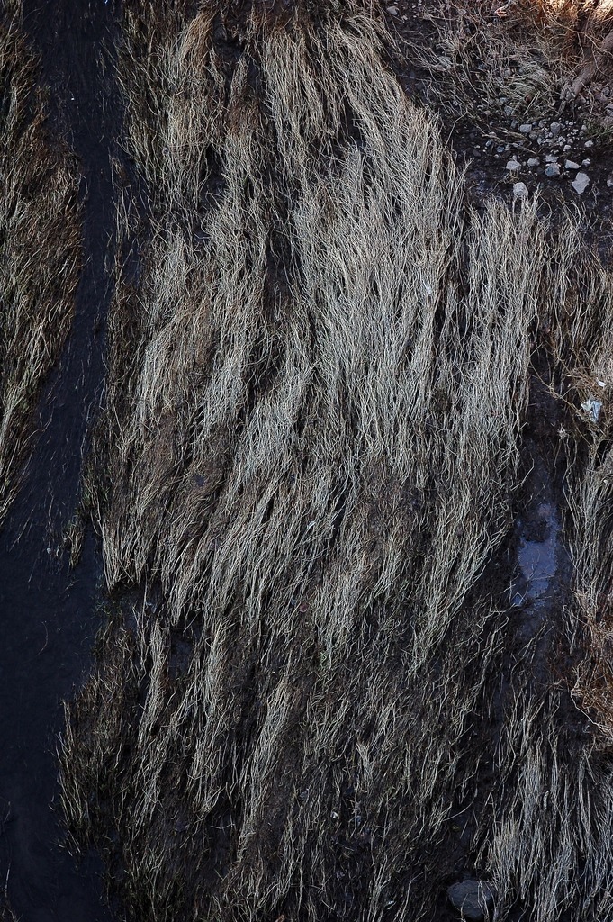 Riverbed | oliverkratzphotography - Realisiert mit Pictrs.com