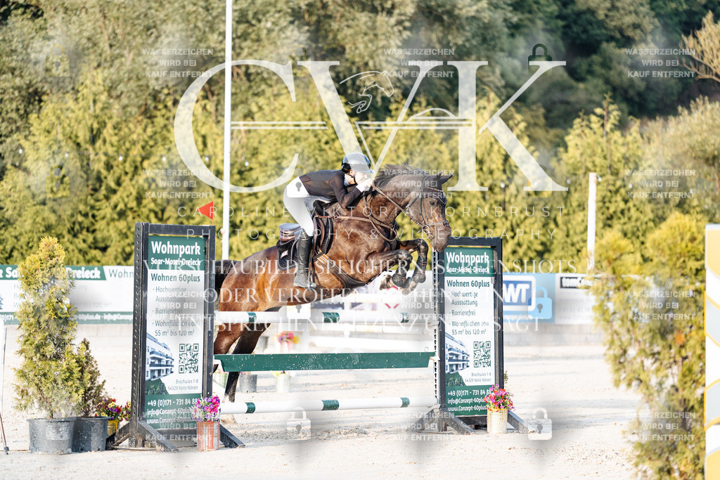CK900933 | Turnierfotografie Pferdefotografie Trier Rheinland-Pfalz Pferdesport Reitsport Tierfotografie Sportfotografie Pferdevideo Pferdevideografie Equestrianvideography equestrianphotography  - Realisiert mit Pictrs.com