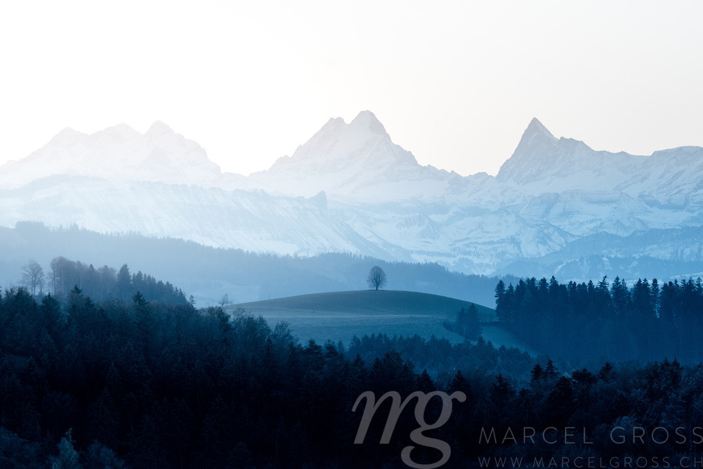 silhouette of a lonely tilia tree on a Emmental hill in front of the magic Schreckhorn | Die ideale Geschenkidee für Naturliebhaber. Naturbilder von Marcel Gross Photography für ihr Zuhause in den verschiedensten Formaten und Materialien. - Realisiert mit Pictrs.com