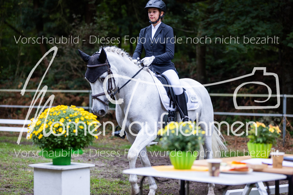 HB-A-Dressur-100 | MomenTaufnahmen Pferdesportfotos