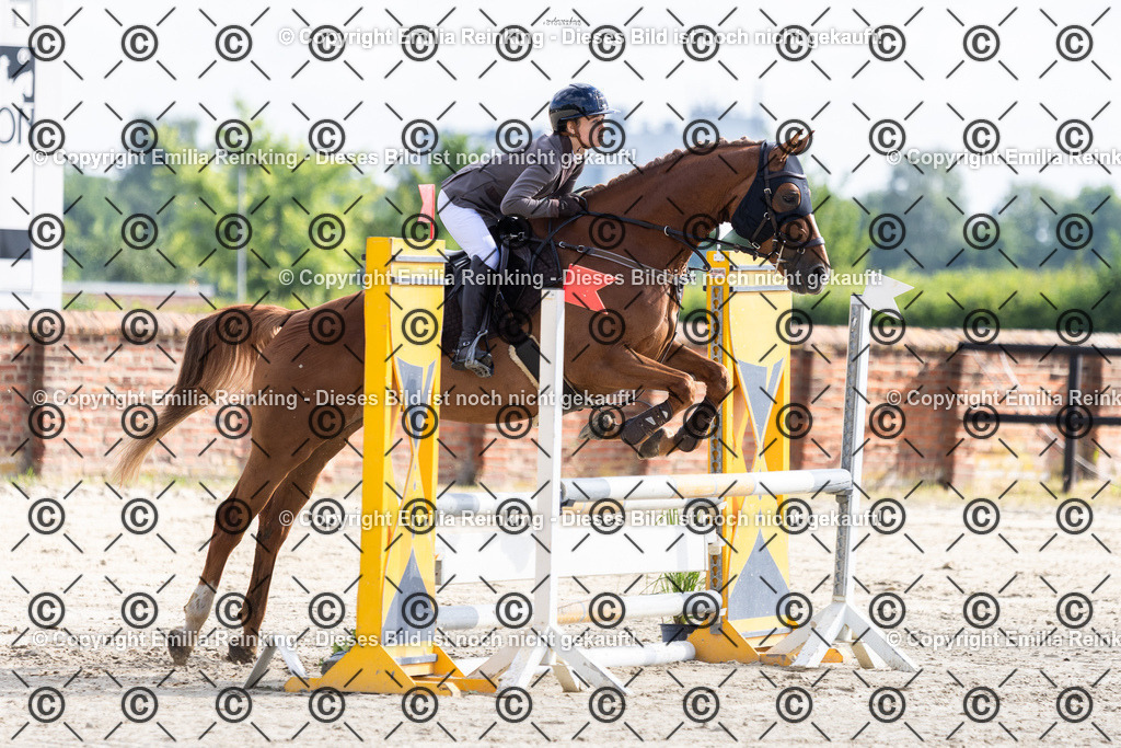 CL5A6231 | Emilia Reinking Fotografie - Realisiert mit Pictrs.com