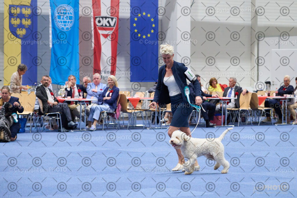 202406_ÖKV-IHA-Tulln24_DSC_3186 | proPHOTO - Realisiert mit Pictrs.com