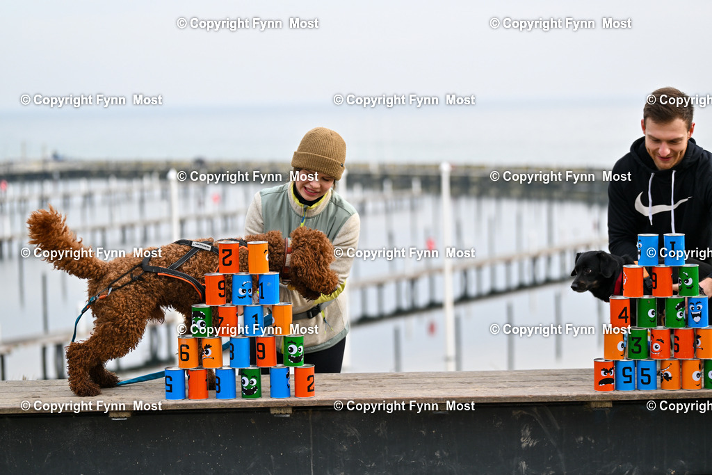 DSC_3783 | Hallo und herzlich Willkommen auf meiner Shop-Seite Fynn Most.

Ich wünsche Dir viel Spaß beim stöbern durch die Bilder, wenn Du Fragen hast oder Bilder vermisst, kannst du mir gerne eine Nachricht schreiben. - Realisiert mit Pictrs.com