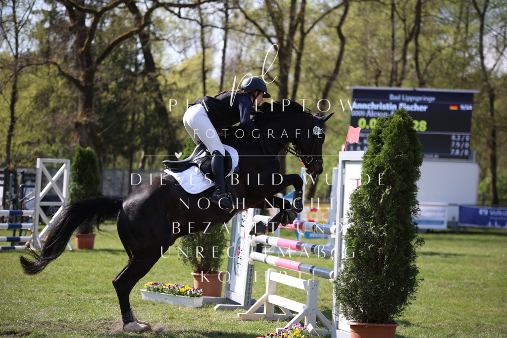 IMGT5961 | pl-fotografie