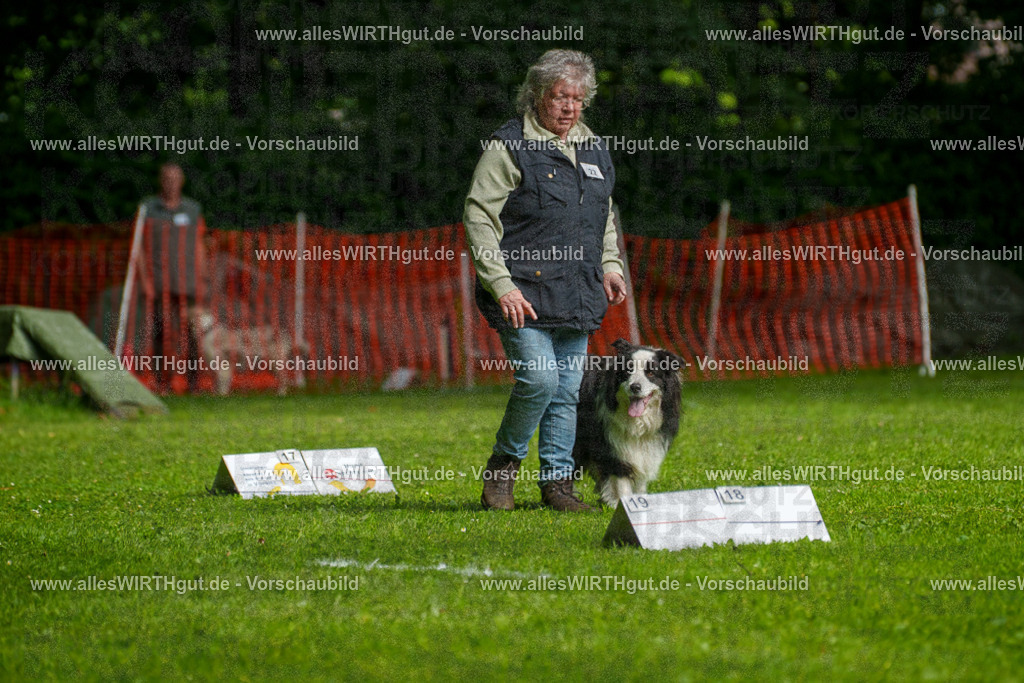 @allesWIRTHgut_Tierfotografie - www.allesWIRTHgut.de - 7R502759 | Professionelle Tierfotografie in Mönchengladbach von Daniel Wirth (allesWIRTHgut). Liebevolle & natürliche Bilder von Hunden & Katzen für unvergessliche Erinnerungen.