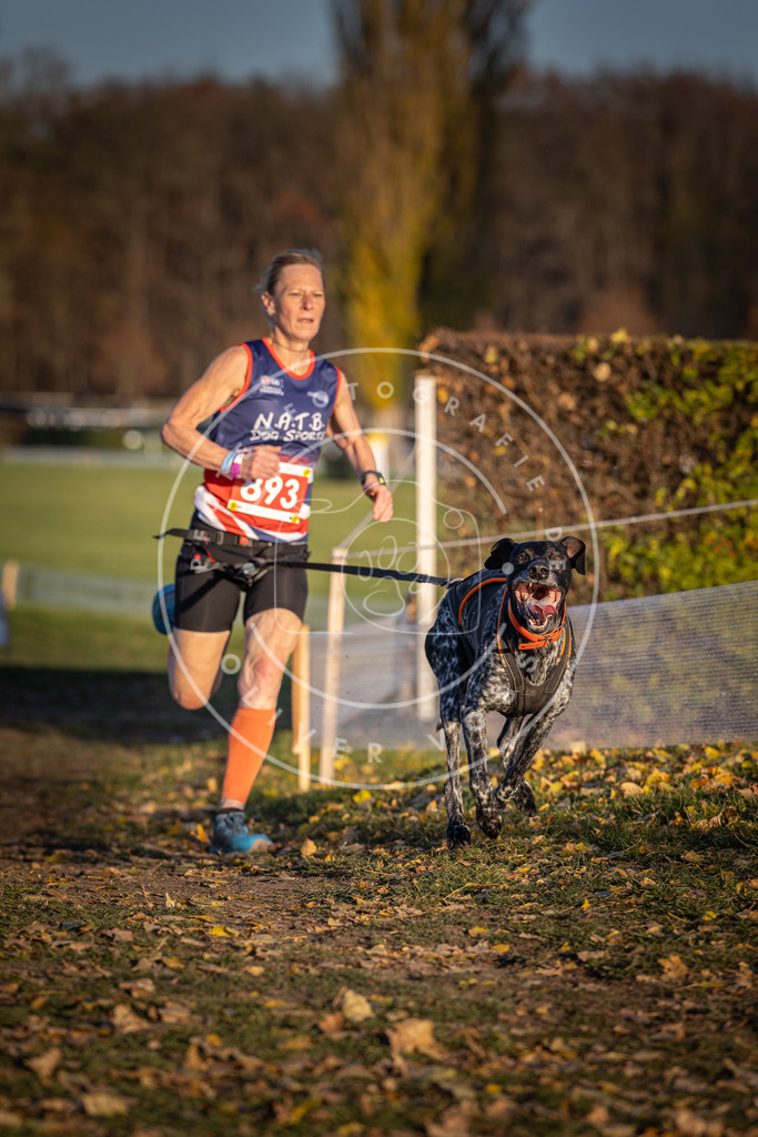 CaniXpix_DV3A4505 | Hundefotografie, Tierfotograf, Pfotenfotografie, Fotoshooting Hund, Hunde Portrait, Hundesport, Hundeportraits, Heideshooting, Hunde, Sportfotograf, Hundefotograf, Turnierhundsport, THS,  - Realisiert mit Pictrs.com