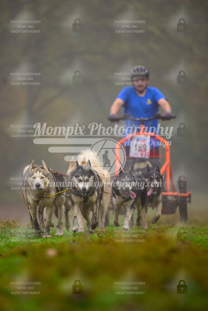 MompixPhotography_Bischwiller2025_Kart-40 | mompixphotography