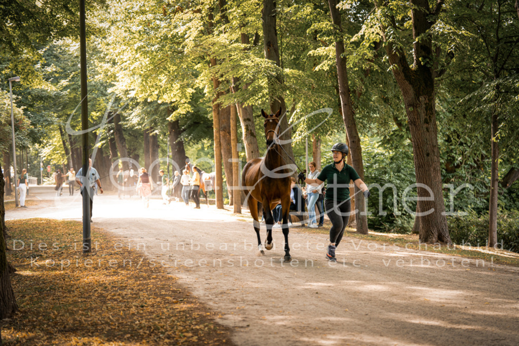 FrPfM00016 | Leoni Ertmer Photography - Realisiert mit Pictrs.com