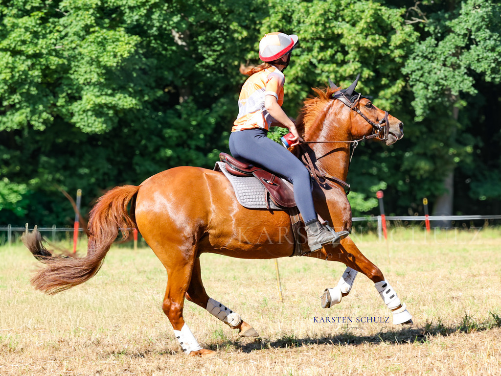 1B3A8199 | Reitsport Reiten
