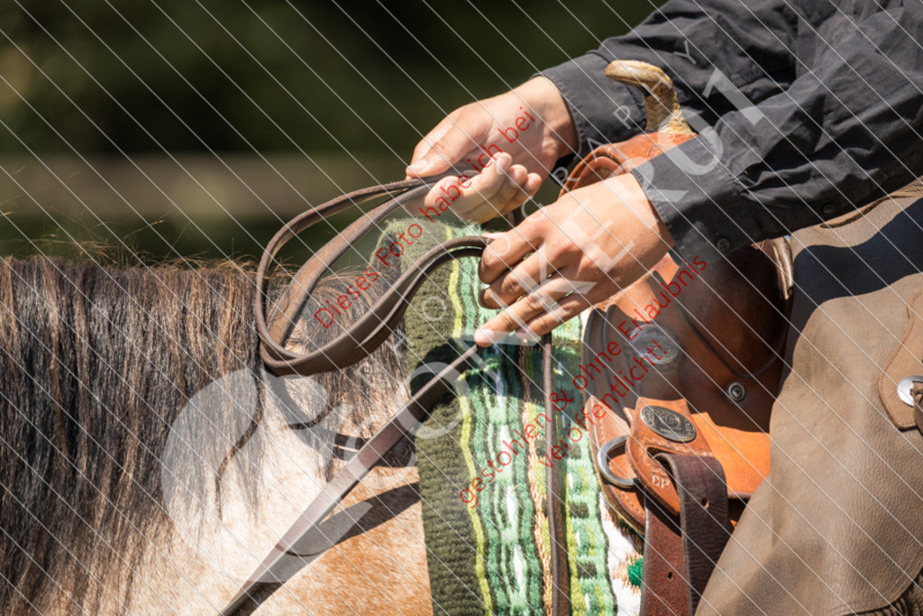 IMG_0675 | Sport-, Event- und Tierfotos in Profiqualität. Einfach auswählen, bestellen und herunterladen. Dein Moment – perfekt festgehalten.