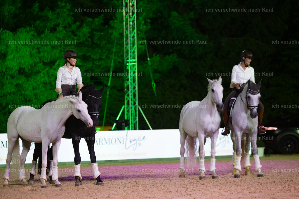 Gala-217 | working equitationturnier fotograf videograf stoibphotography marixx film working equitation deutschland reitsport turnierfotografie eventfotografie equestrian events