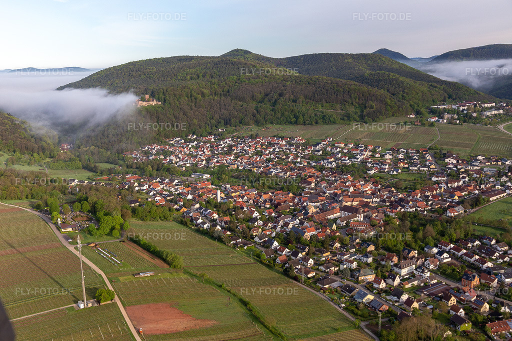 Luftbild: Burg Landeck im Morgennebel in Klingenmünster im Bundesland Rheinland-Pfalz in Deutschland. Foto: IMG_113750.jpg vom 29.04.2019 durch Werner Riehm/FLY-FOTO.de