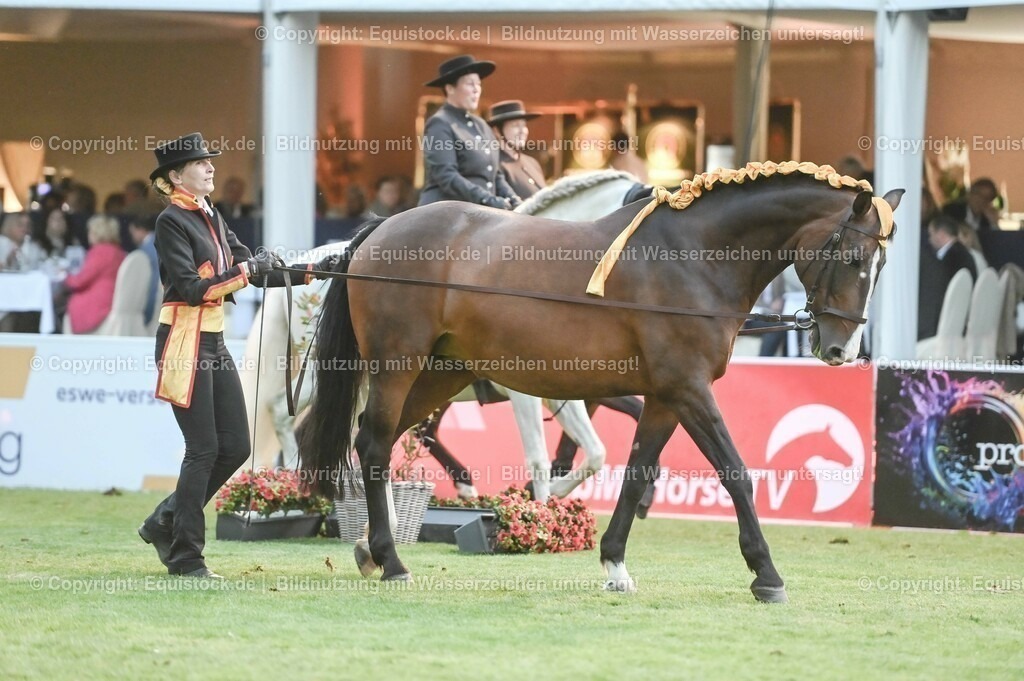 20230526_Pferdenacht_0771 | equistock