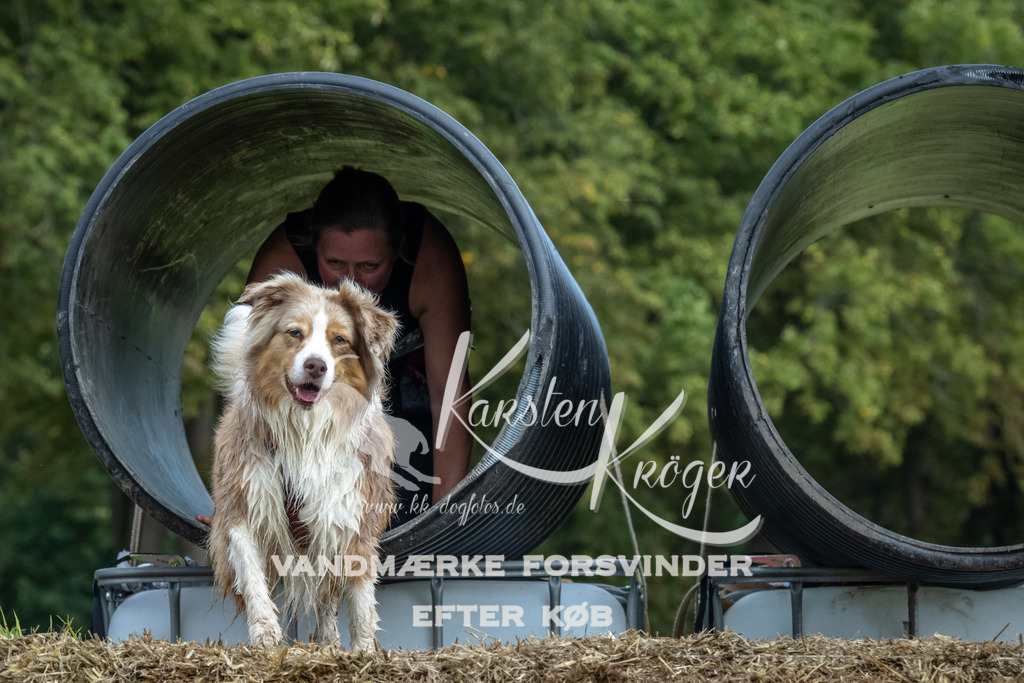 1348_ZZ94678 | kk-dogfotos