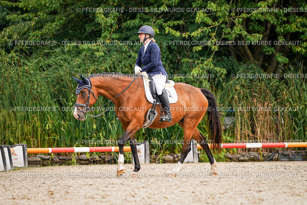 DSC02300 | Pferdegrafie