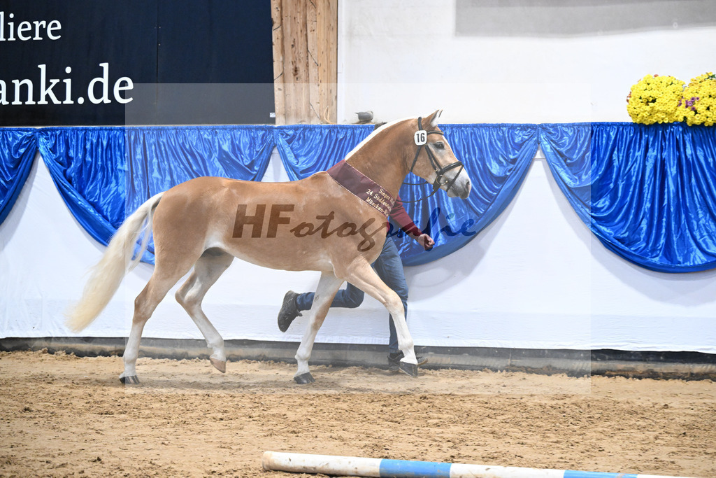 Kat-Nr. 16 nn v. Neustart_Obermeyer_48251805 | hf-fotografie - Realisiert mit Pictrs.com