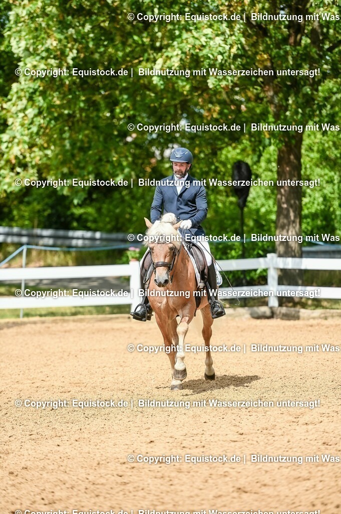20230716_01_Dressurprüfung Kl.M_0147 | equistock