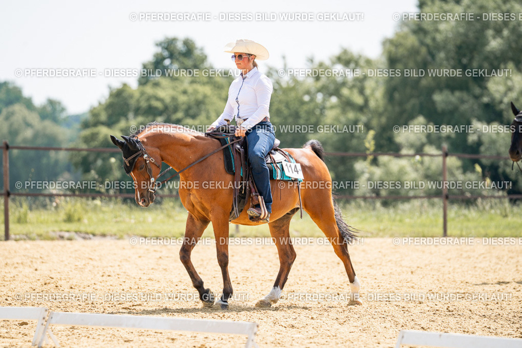 DSC00382 | Pferdegrafie