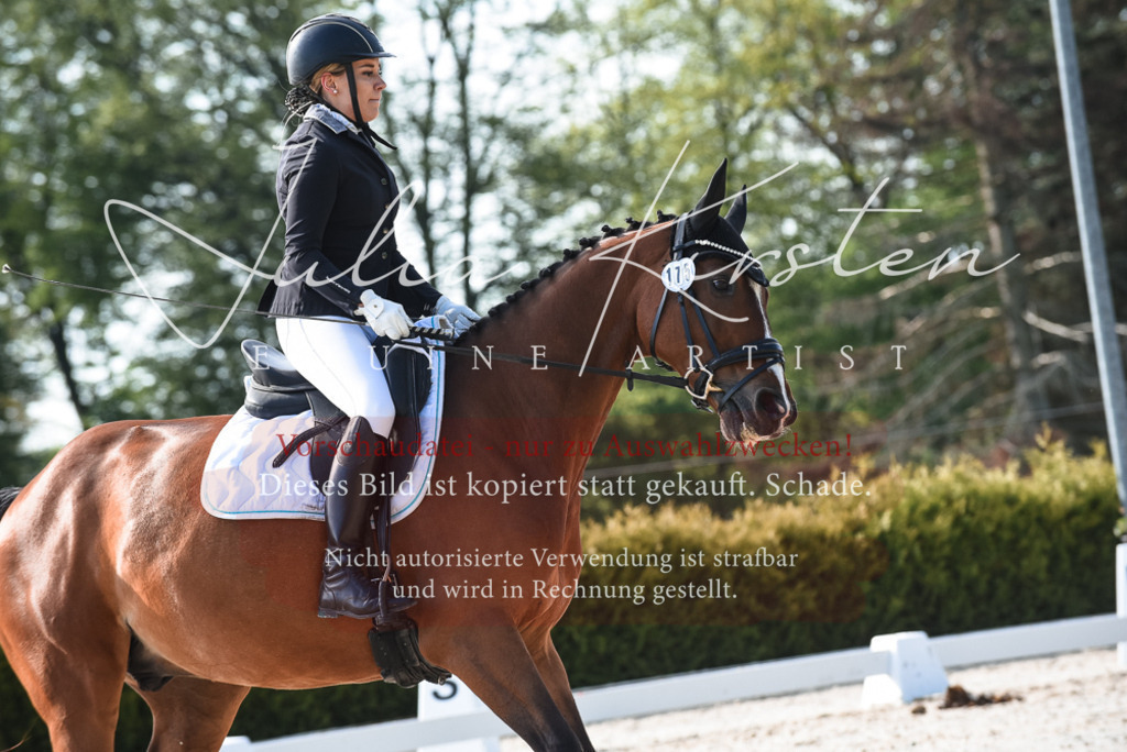 20230518_JK-Röhrsdorf-09-0891 | Pferde- und Turnierfotografie in Westsachsen. Pferdeportraits, Auftragszeichnungen und intuitive Kunst.