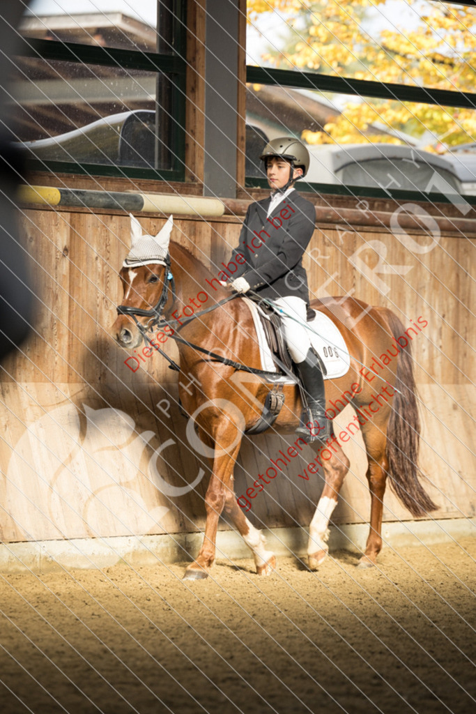 CON_6054 | Sport-, Event- und Tierfotos in Profiqualität. Einfach auswählen, bestellen und herunterladen. Dein Moment – perfekt festgehalten.