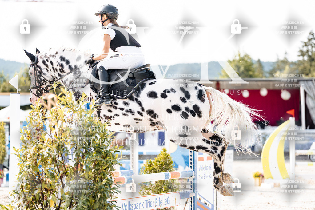 CK905979 | Turnierfotografie Pferdefotografie Trier Rheinland-Pfalz Pferdesport Reitsport Tierfotografie Sportfotografie Pferdevideo Pferdevideografie Equestrianvideography equestrianphotography  - Realisiert mit Pictrs.com