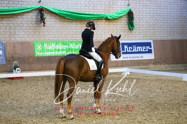 IMG_2949 | Turnierfotos kaufen im Webshop von Daniel Kuhl Photography – entdecke professionelle Reitsportfotos aus Turnieren & Events. Hochwertige Turnierbilder online bestellen & sichern. Jetzt Fotos von Reitsportturnieren kaufen!