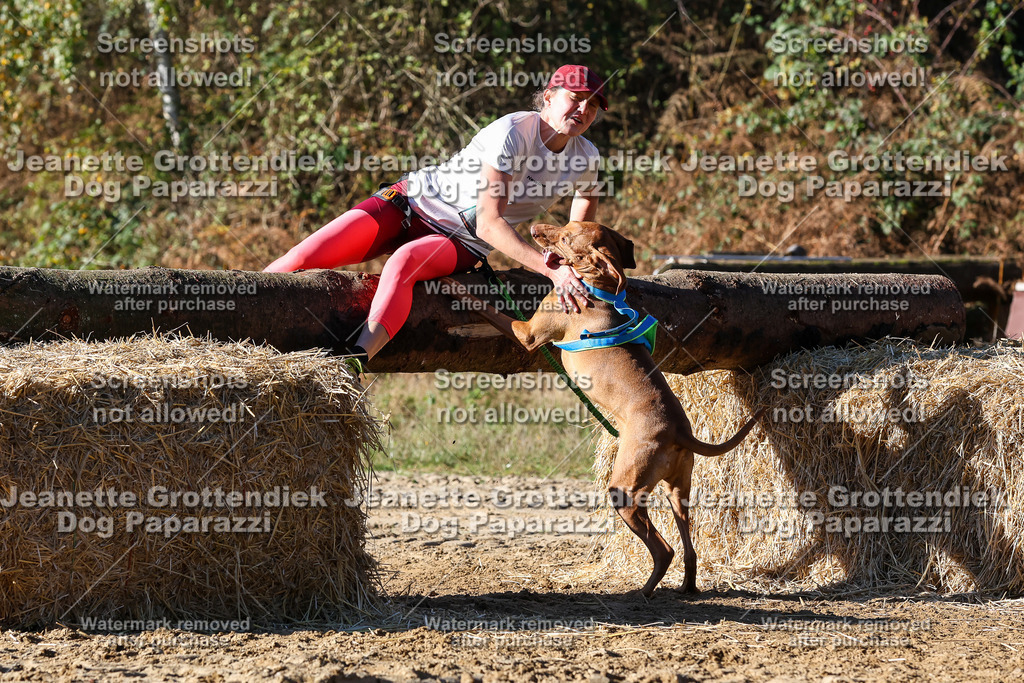 Dog Paparazzi - Strongdog 10-25-2342 | Dog Paparazzi Jeanette Grottendiek Fotografie & Videografie