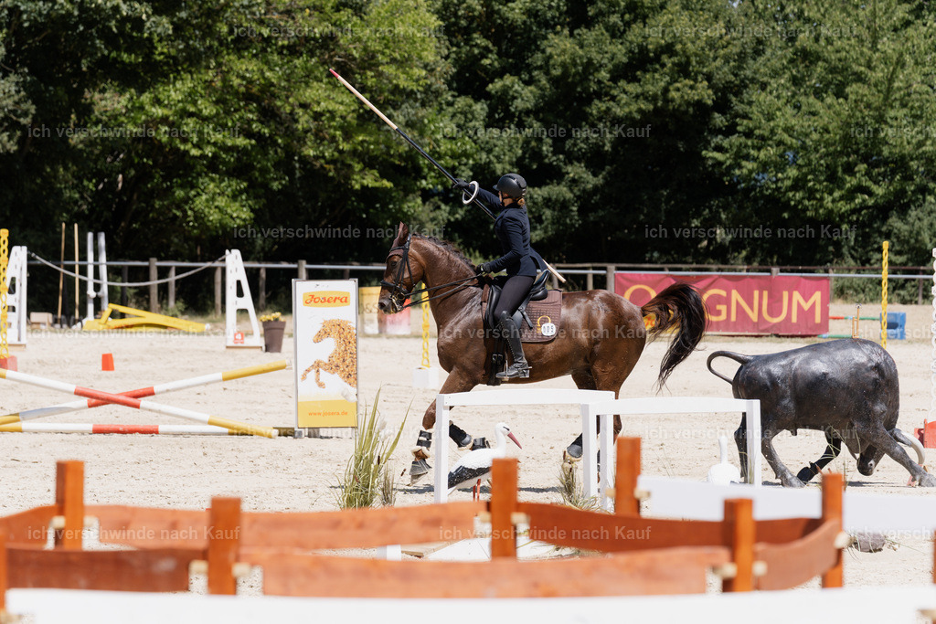 WM_SP_5_SinaFilmArt_IN07517 | working equitationturnier fotograf videograf stoibphotography marixx film working equitation deutschland reitsport turnierfotografie eventfotografie equestrian events