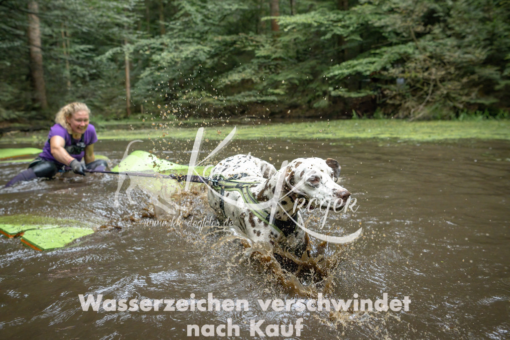 1530_ZZ91043-Bearbeitet | kk-dogfotos